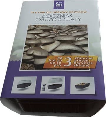Oyster mushrooms- The package is ready for growing at home