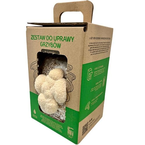 Monkey Head LION’S MANE (Hericium erinaceus) grow kit