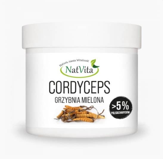 Ground cordyceps mushroom