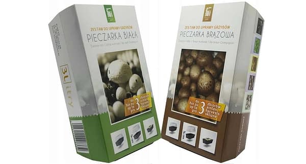 Brown and white champignons set – 2 ready-made packages for growing at home