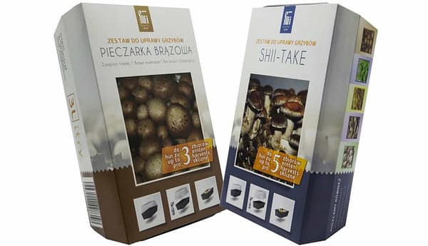 Brown champignons and Shiitake set – 2 Ready-made packages for growing at home