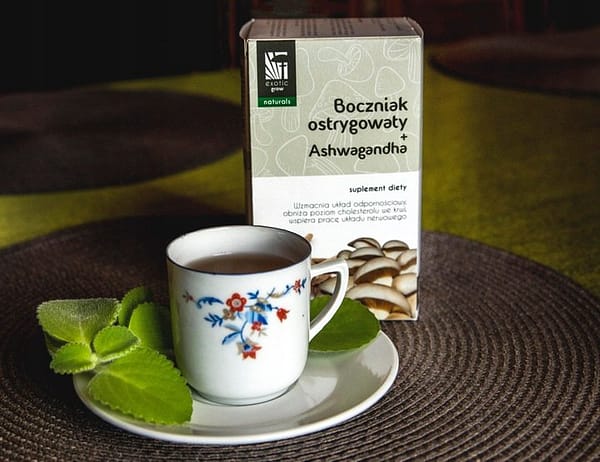 Tea with Ashwagandha and Oyster mushrooms