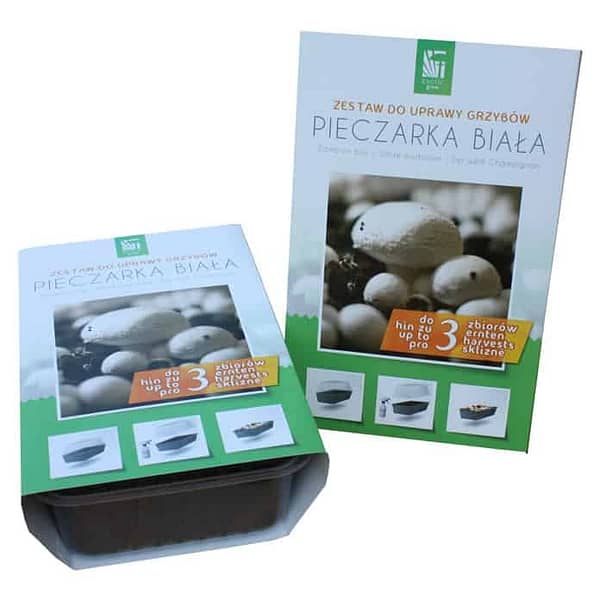 White champignons set- The package is ready for growing at home