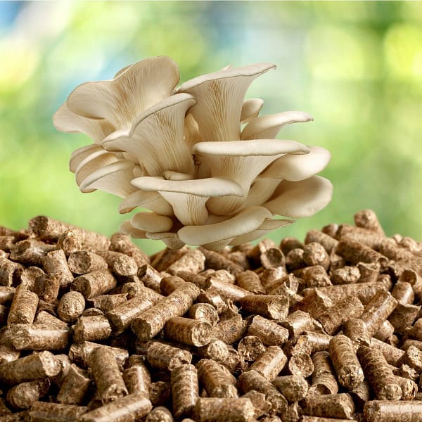 Soy Hull Pellets for mushroom growing
